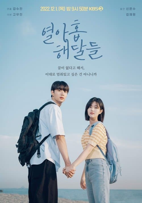 열아홉 해달들 afişi