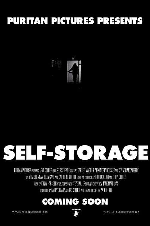Self-Storage afişi