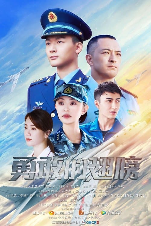 勇敢的翅膀 afişi