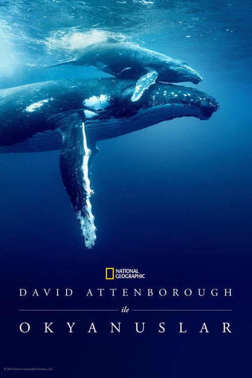 David Attenborough ile Okyanuslar afişi