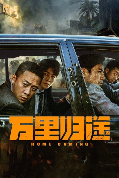 万里归途 afişi