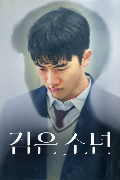 검은 소년 afişi