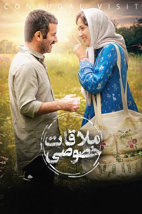 ملاقات خصوصی afişi