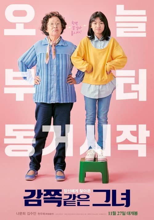 감쪽같은 그녀 afişi