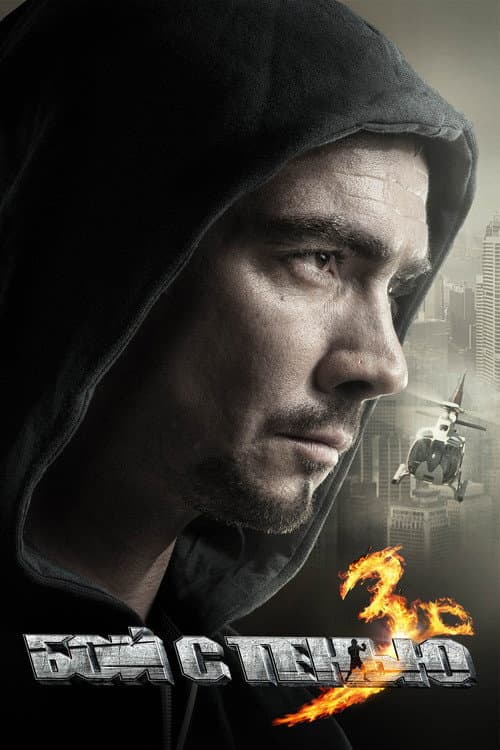 Бой с тенью 3: Последний раунд afişi