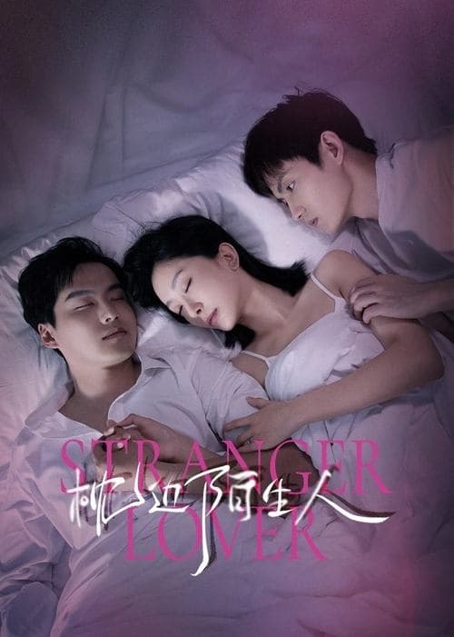枕边陌生人 afişi