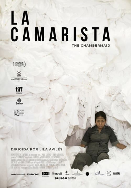 La Camarista afişi