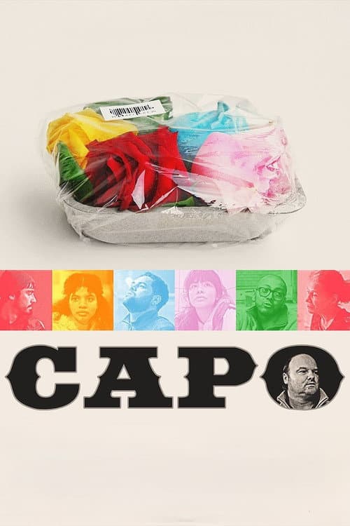 CAPO afişi