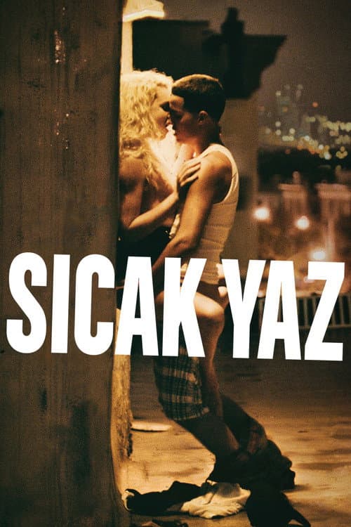 Sıcak Yaz afişi