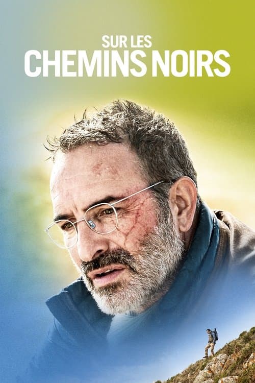 Sur les chemins noirs afişi