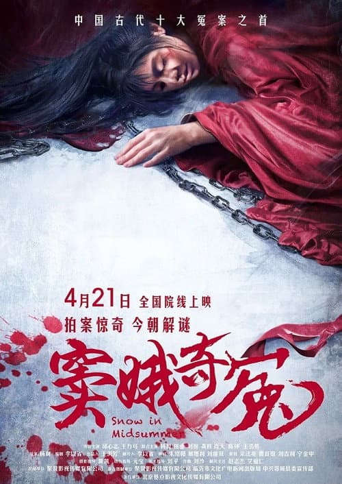 窦娥奇冤 afişi