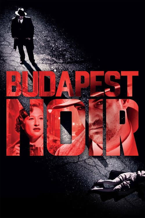 Budapest Noir afişi
