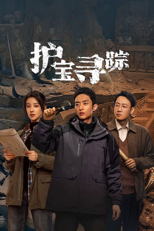 护宝寻踪 afişi