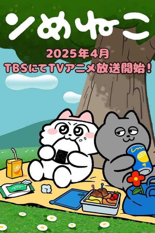 ンめねこ afişi