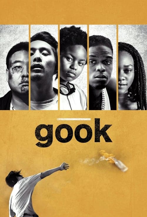 Gook afişi