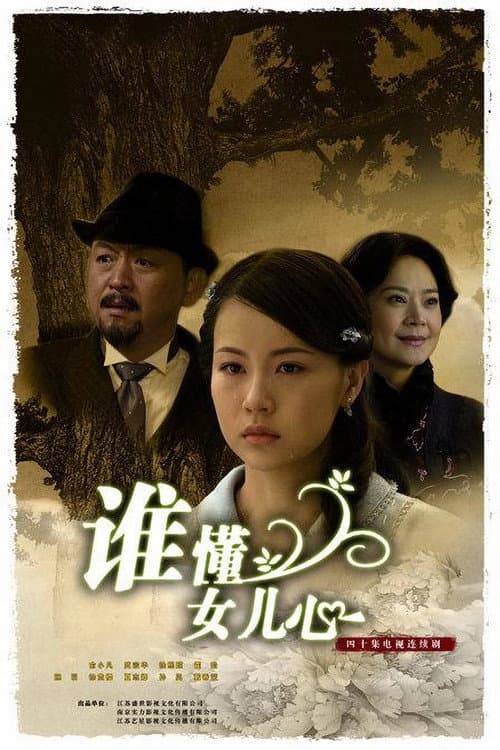谁懂女儿心 afişi