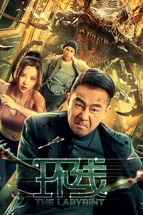 环线 afişi