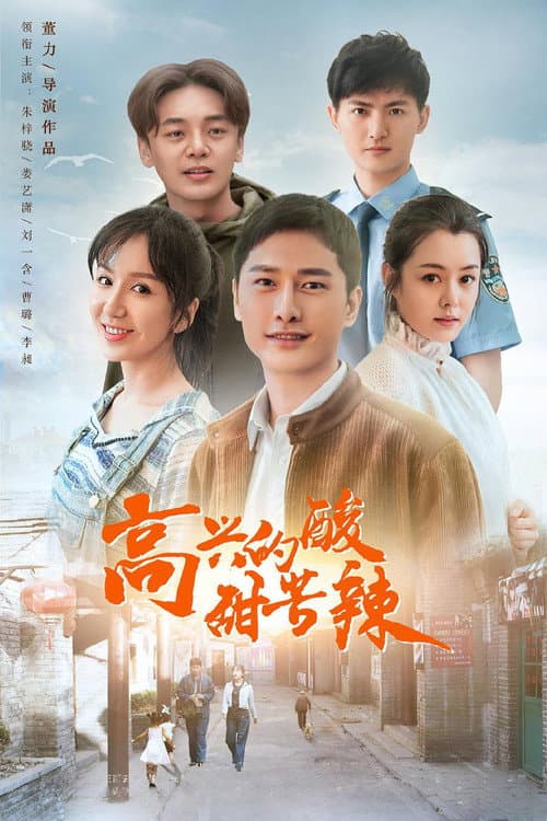 高兴的酸甜苦辣 afişi