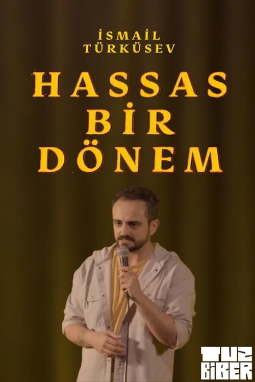 Hassas Bir Dönem - İsmail Türküsev afişi