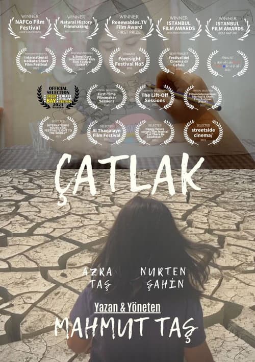 Çatlak afişi