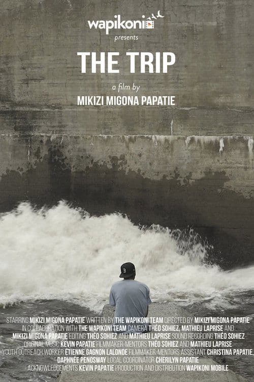 The Trip afişi