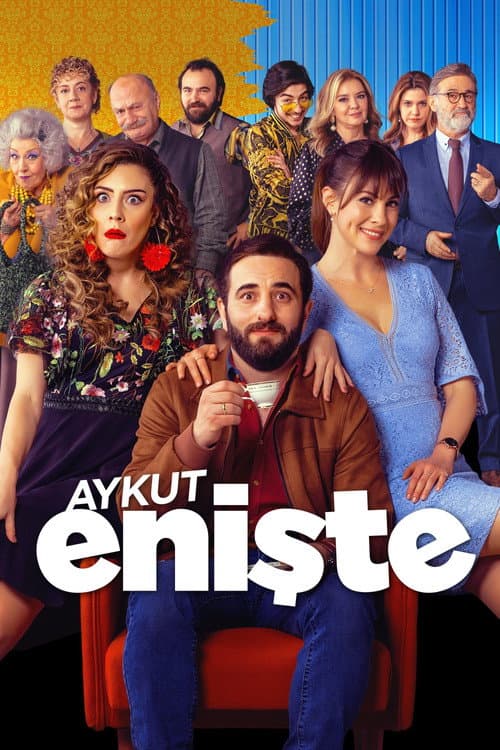 Aykut Enişte afişi