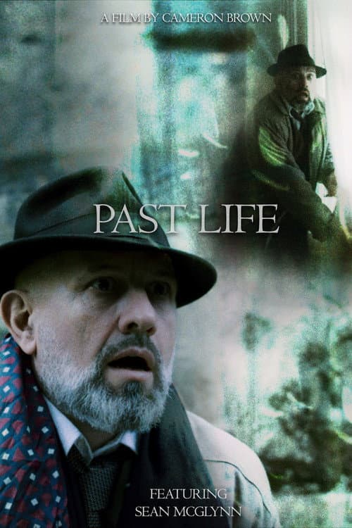 Past Life afişi