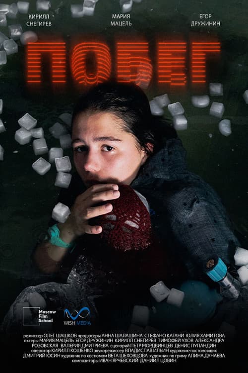 Побег afişi