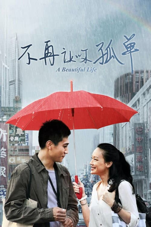 不再让你孤单 afişi