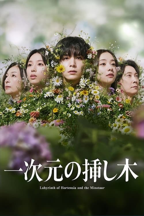 一次元の挿し木 afişi