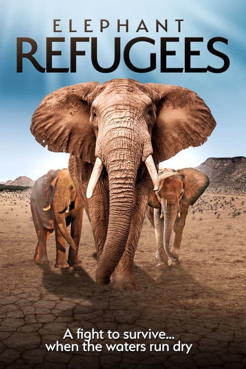 Elephant Refugees afişi