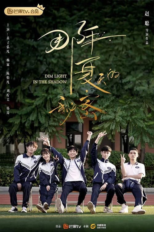 那年夏天的秘密 afişi