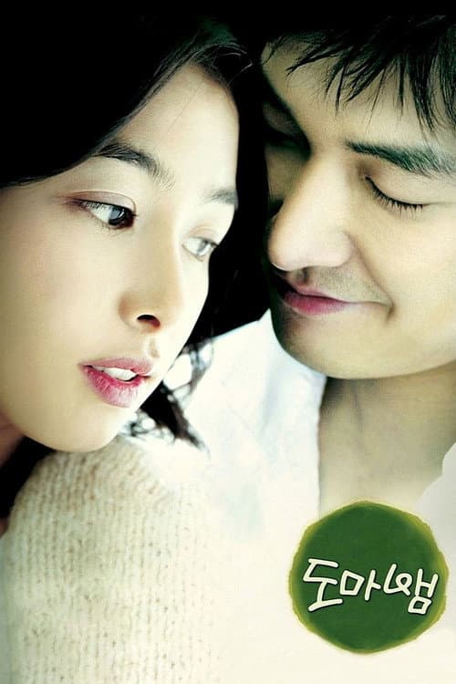 도마뱀 afişi