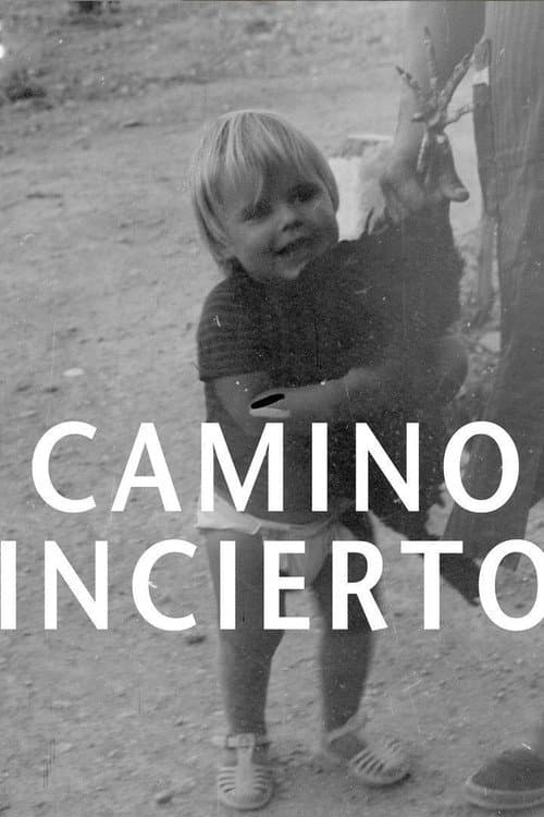 Camino incierto afişi