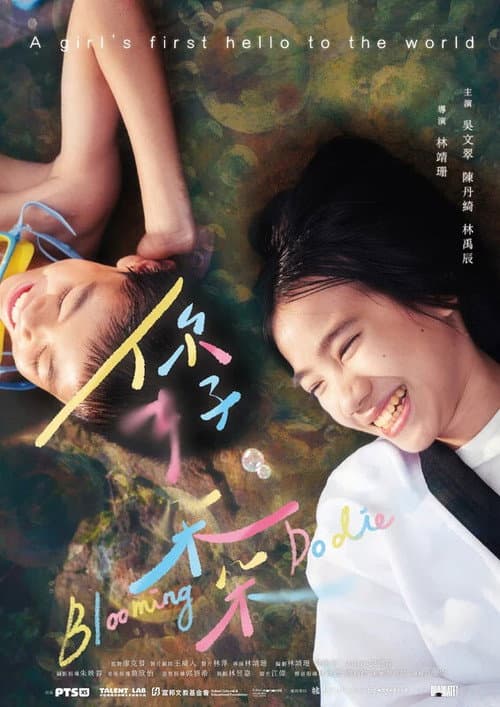 你好，朵朵 afişi
