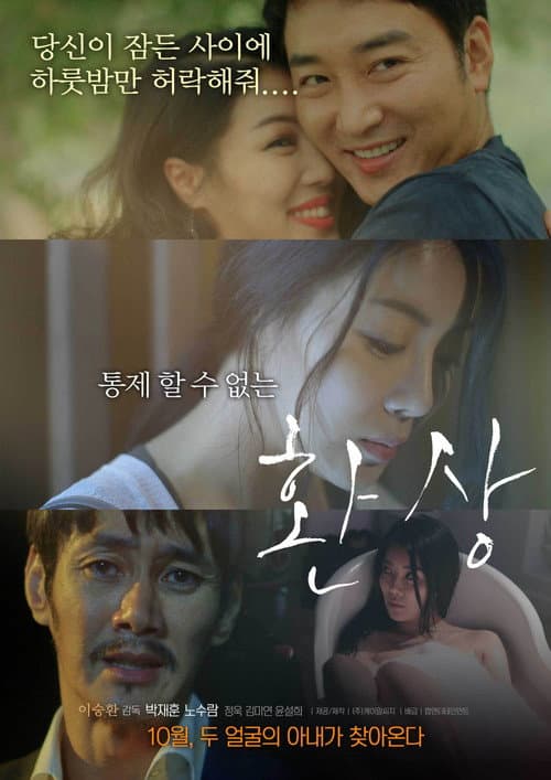 환상 afişi
