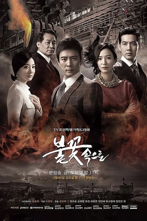 불꽃 속으로 afişi
