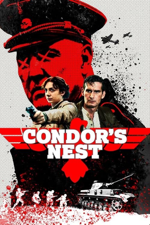 Condor's Nest afişi