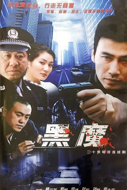 隐姓埋名 afişi