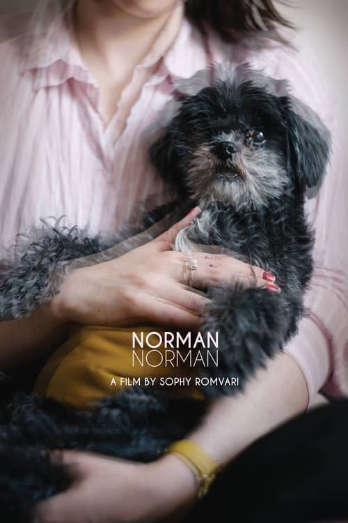 Norman Norman afişi