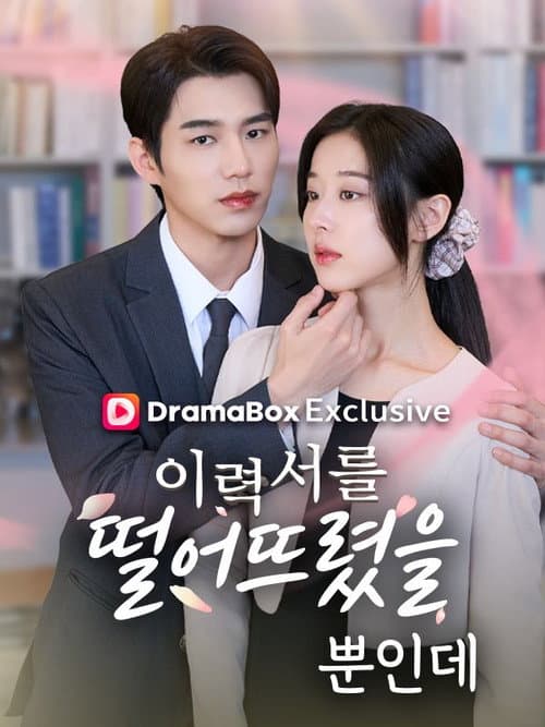 이력서를 떨어뜨렸을 뿐 인데 afişi