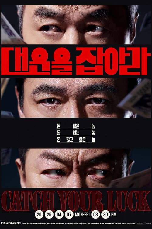 대운을 잡아라 afişi