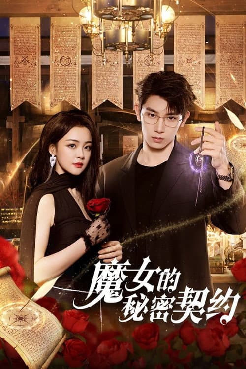 魔女的秘密契约 afişi