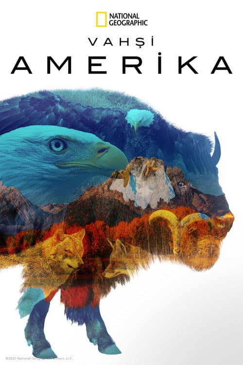 Vahşi Amerika afişi