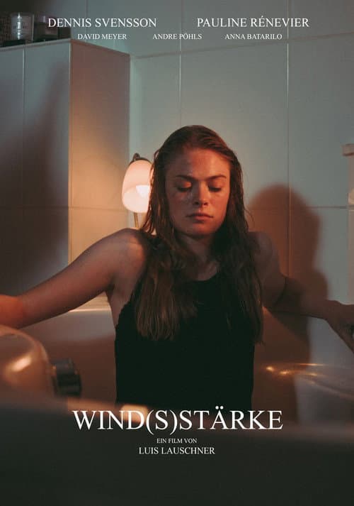 Wind(s)stärke afişi