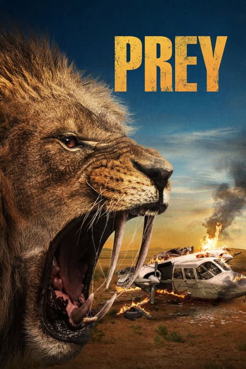 Prey afişi