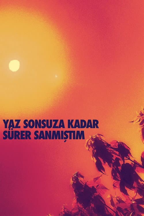 Yaz Sonsuza Kadar Sürer Sanmıştım afişi