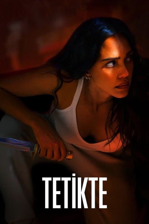 Tetikte afişi