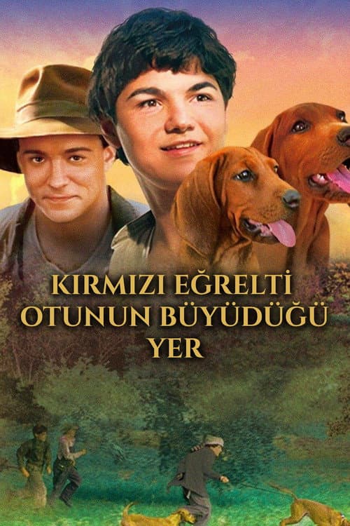 Kırmızı Eğrelti Otunun Büyüdüğü Yer afişi