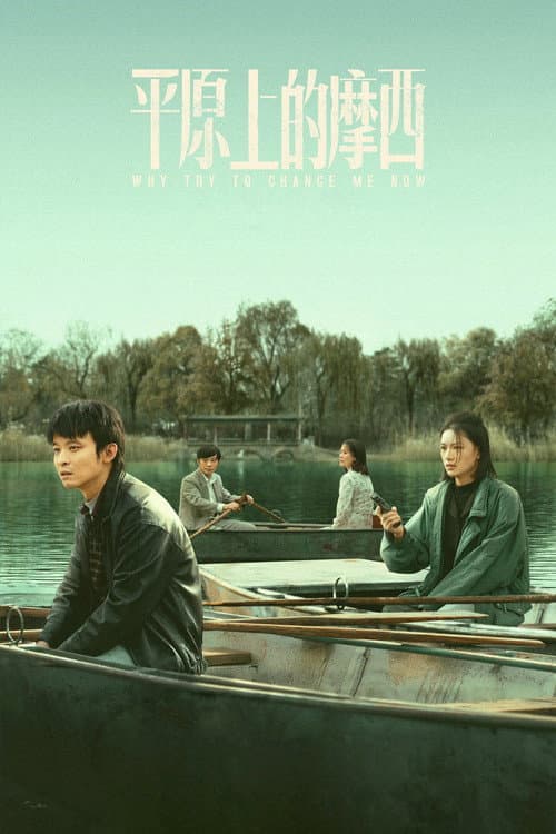 平原上的摩西 afişi